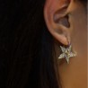 Crystal Crystal Pentagram Earrings