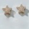 women's simple fashion starfish earrings