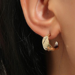 small Crystal earrings